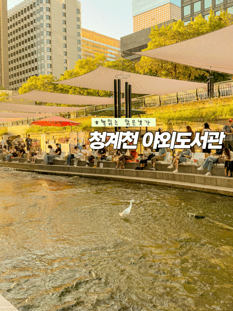 청계천 야외도서관 책읽는 맑은냇가 후기, 위치