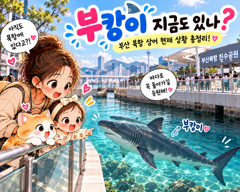 부캉이 지금 있나? 부산 북항 상어 현재 상황과 관람 주의사항