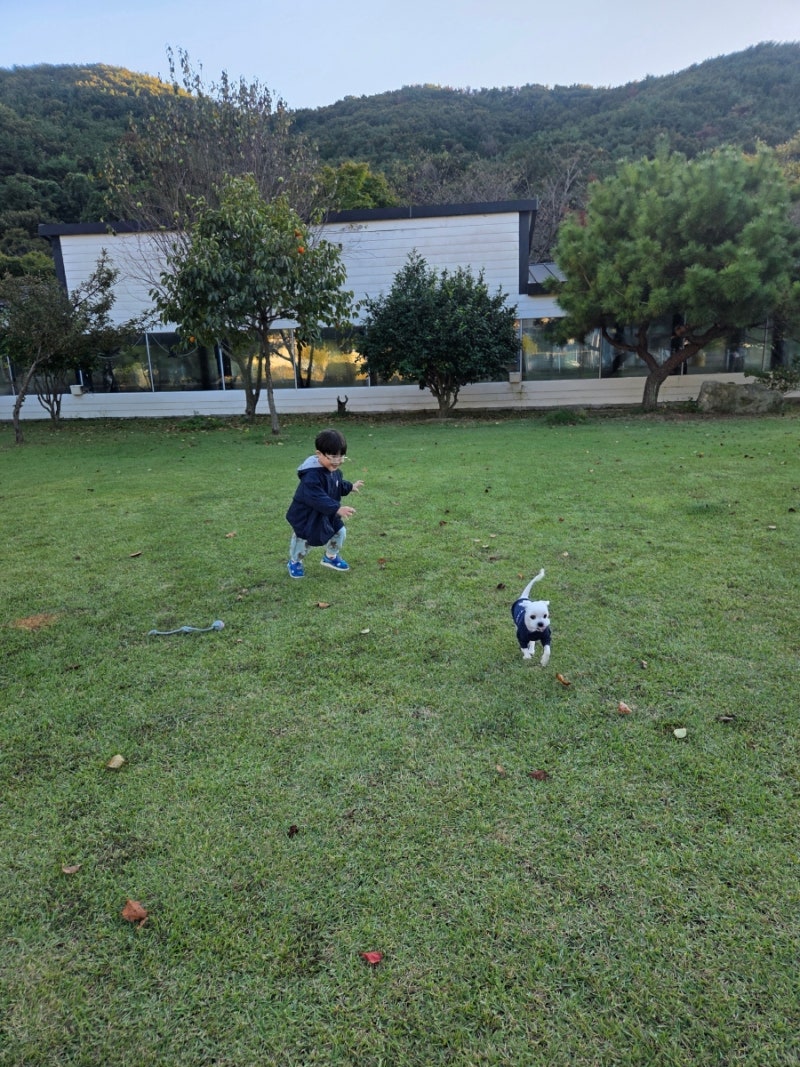 통영 글램독 경남애견펜션 잔디마당이 있는 통영애견펜션