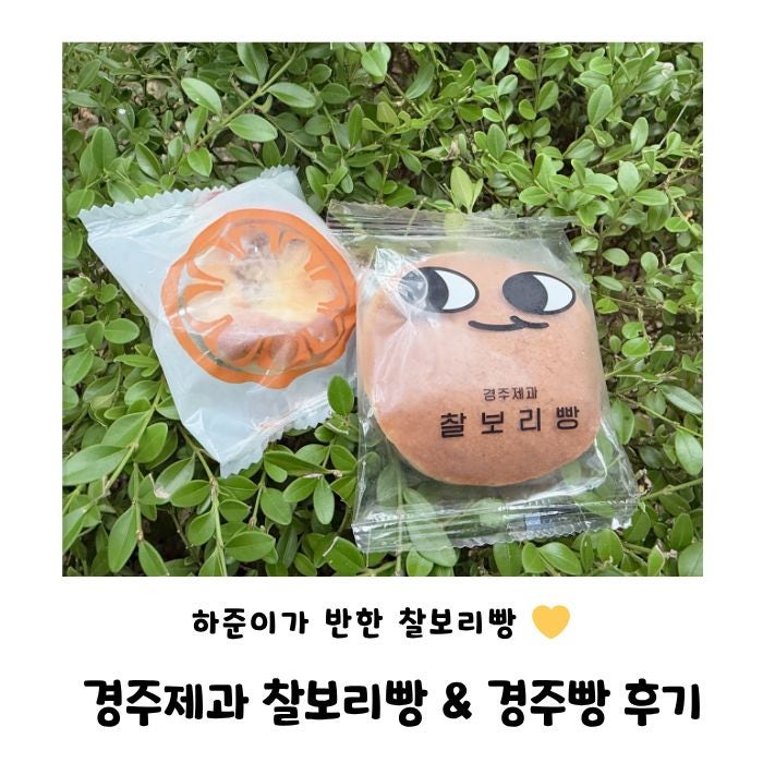 추석선물추천 경주제과 경주빵 찰보리빵 반반세트, 하준이 소풍 간식으로도 좋아요
