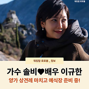 가수 솔비♥배우 이규한, 내년 결혼…양가 상견례 마쳤다 예식장 준비 돌입