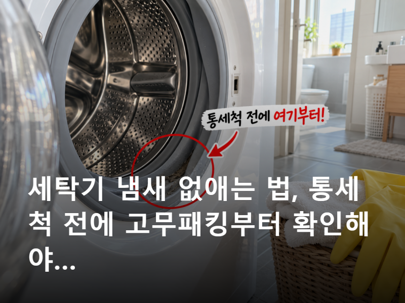 세탁기 냄새 없애는 법, 통세척 전에 고무패킹부터 확인해야 하는 이유