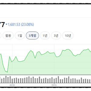 한국 반도체 중국에 그렇게 밀리나, 주가 폭락 이유