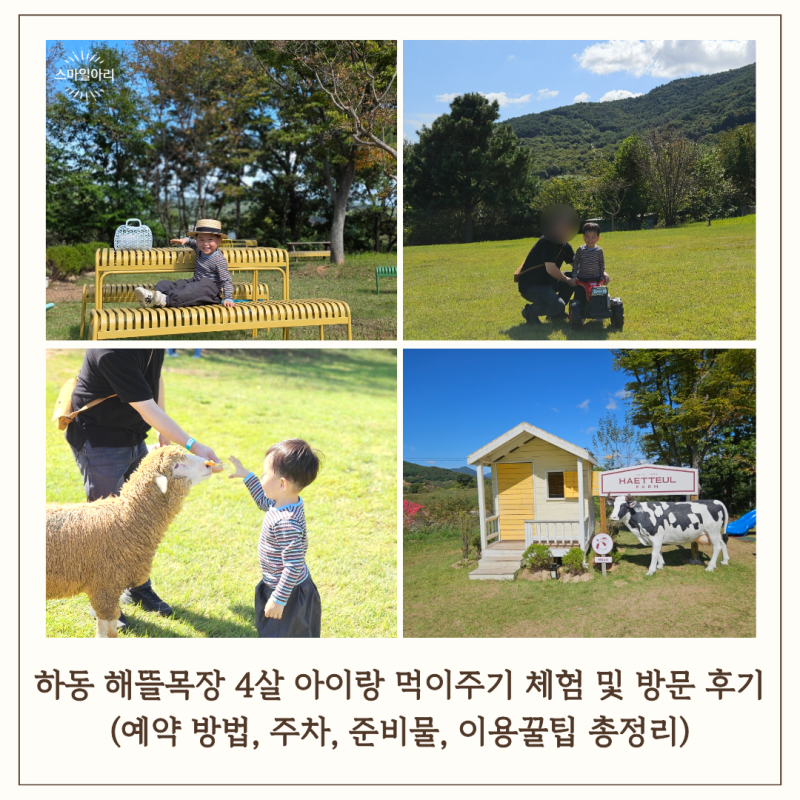 [내돈내산] 에너자이저 4살 아들이 맘껏 뛰어놀고 먹이체험까지!! 경남 하동 해뜰목장 예약방....