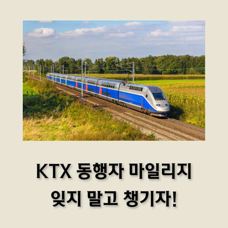 KTX 동행자 마일리지, 잊지 말고 챙기세요 | 가족 표 한 번에 결제했다면 꼭 확인!