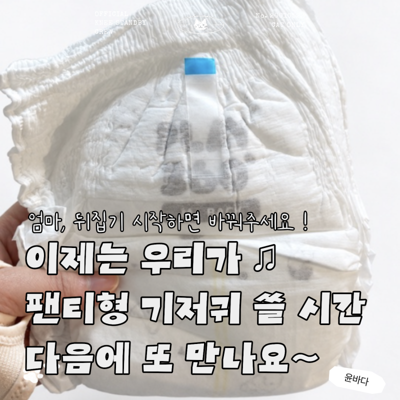 3개월 아기 뒤집기 시작 후 기저귀 등샘? 밴드형에서 팬티형으로 바꾸는 이유
