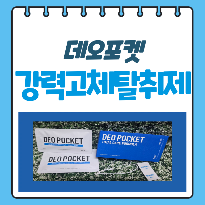 시골집 퀴퀴한 냄새 탈취제추천, 탈취력시험으로 확인한 고체탈취제 데오포켓