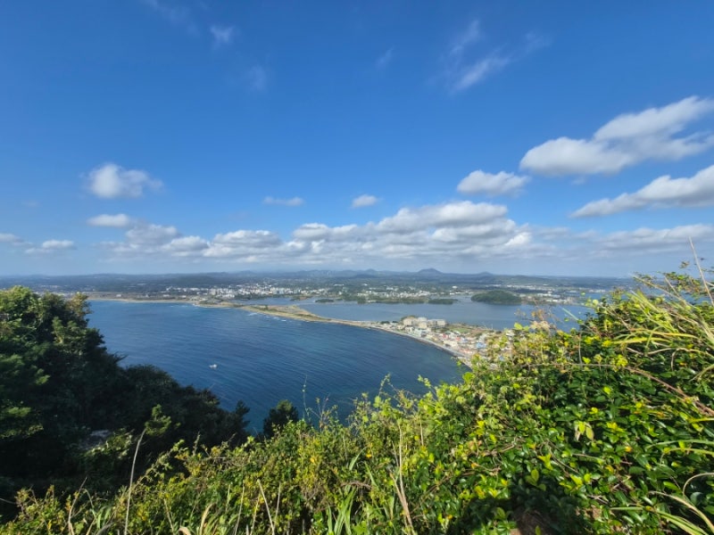 제주도 5박 6일 초등학생 4인 가족 여행 일정 및 경비, 숙소