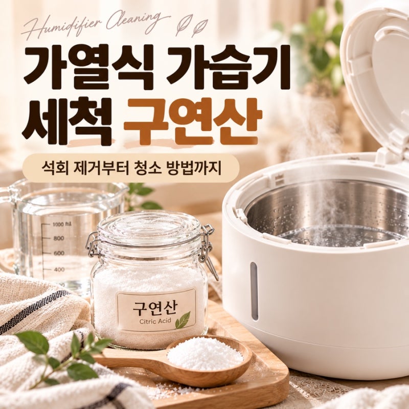 가열식 가습기 세척 구연산 사용법, 석회 제거부터 물때 청소까지