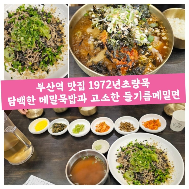 부산역 맛집 1972년초량묵 담백한 메밀묵밥과 고소한 들기름메밀면