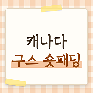 캐나다 구스 숏패딩, 여성 사이즈부터 가격과 관리까지
