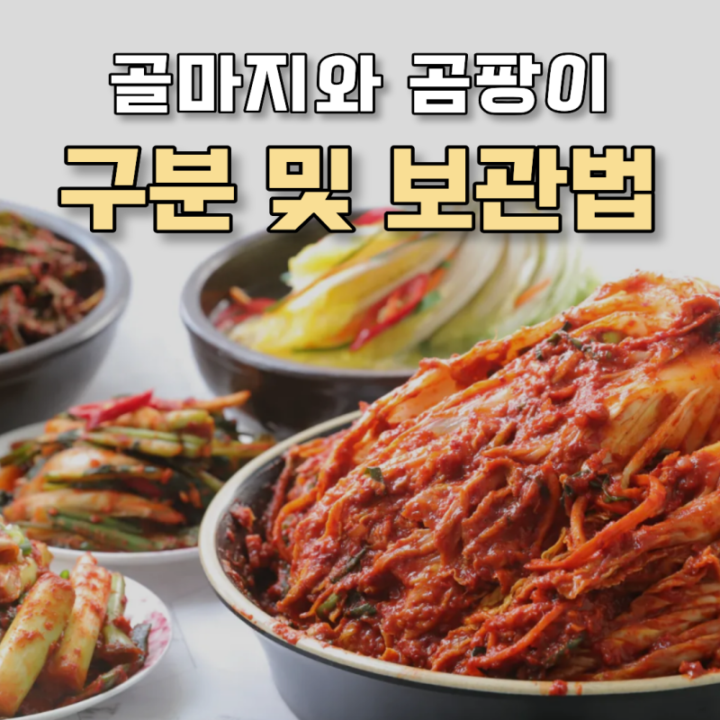 김치 위 하얀막 먹어도될까? 곰팡이와 골마지 구분법