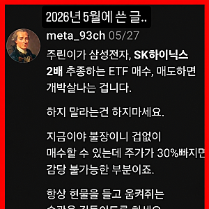 주가 폭락한.. 삼성전자 SK하이닉스 2배레버리지 ETF 나왔으면 안되는 상품