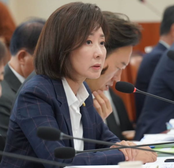 10·15 부동산 대책 1년 총정리, 토지거래허가제·조합원 지위 양도가 뭐길래? 나경원 주장까지....