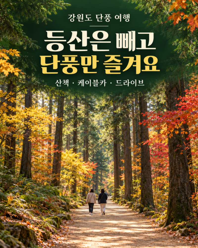 단풍 보러 갔다가 등산할 뻔?｜강원도 덜 걷는 단풍 여행지 5곳