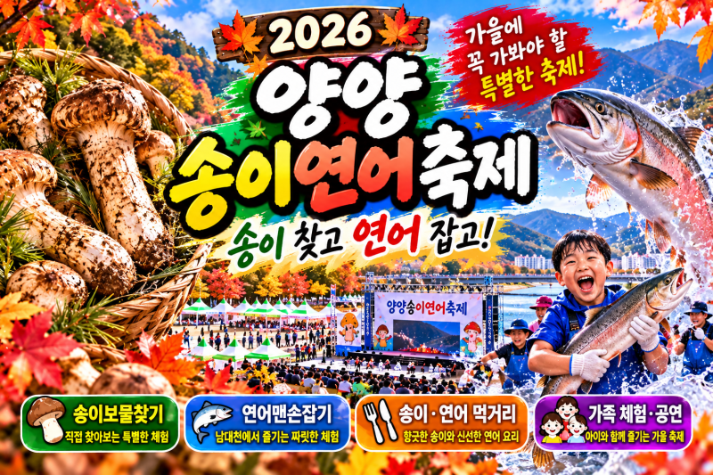 2026 양양송이연어축제, 송이 찾고 연어 잡고! 체험 예약부터 참가비까지 6가지