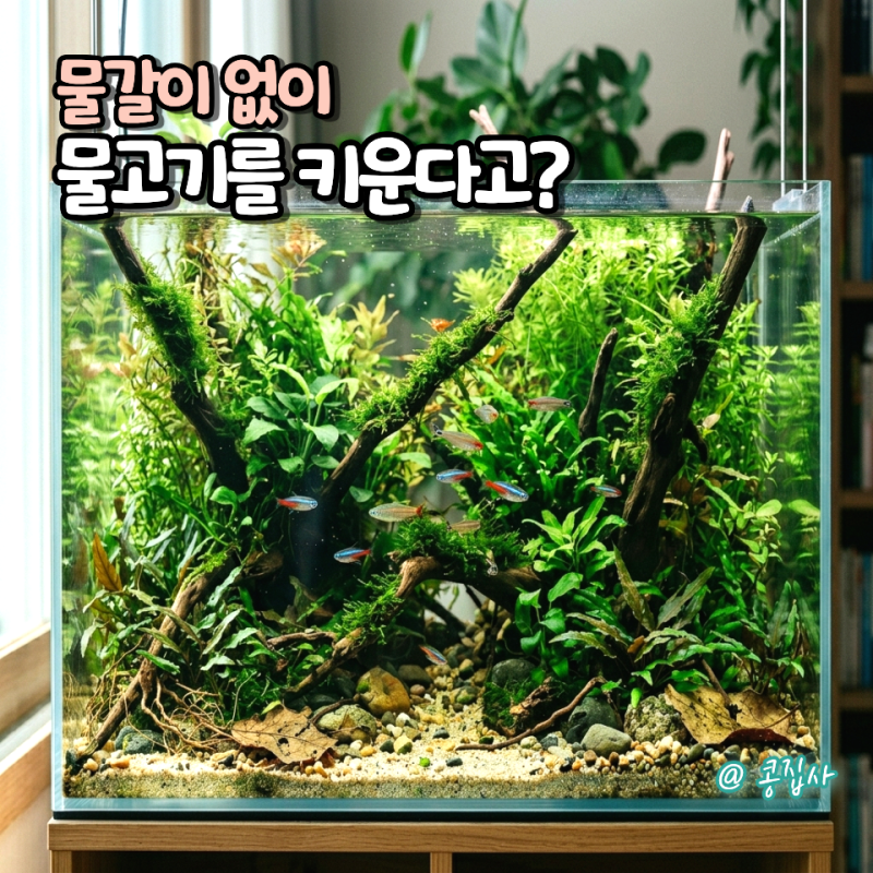 무환수어항이란? 물갈이 없이 물고기를 키우는 원리와 관리 방법