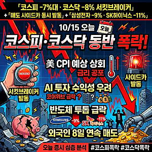 코스피 코스닥 동반 폭락 분석, 사이드카에 코스닥 서킷브레이커까지… 오늘 증시는 왜 무너....