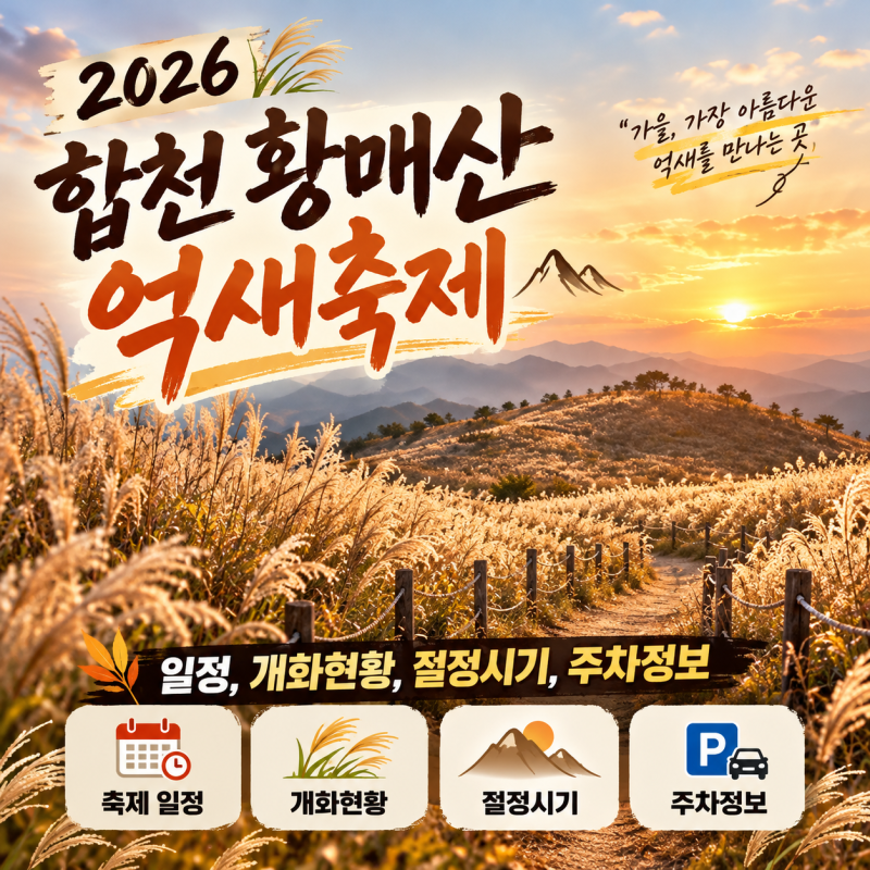 2026 합천 황매산 억새축제 일정, 개화현황, 절정시기, 주차정보