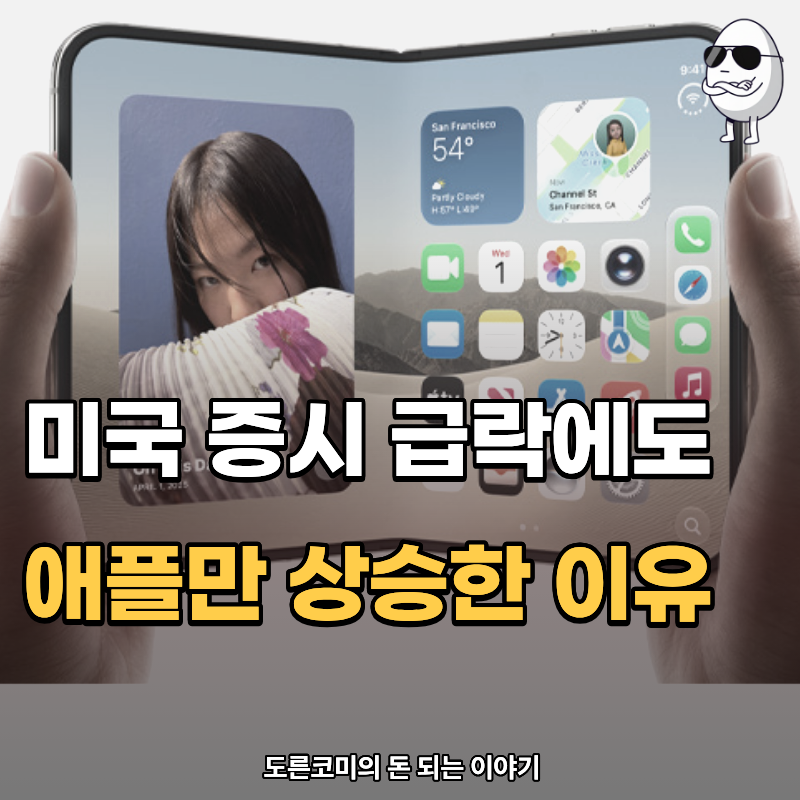 미국 증시 급락에도 애플만 주가 상승, 시총 5조 달러 돌파한 이유는?
