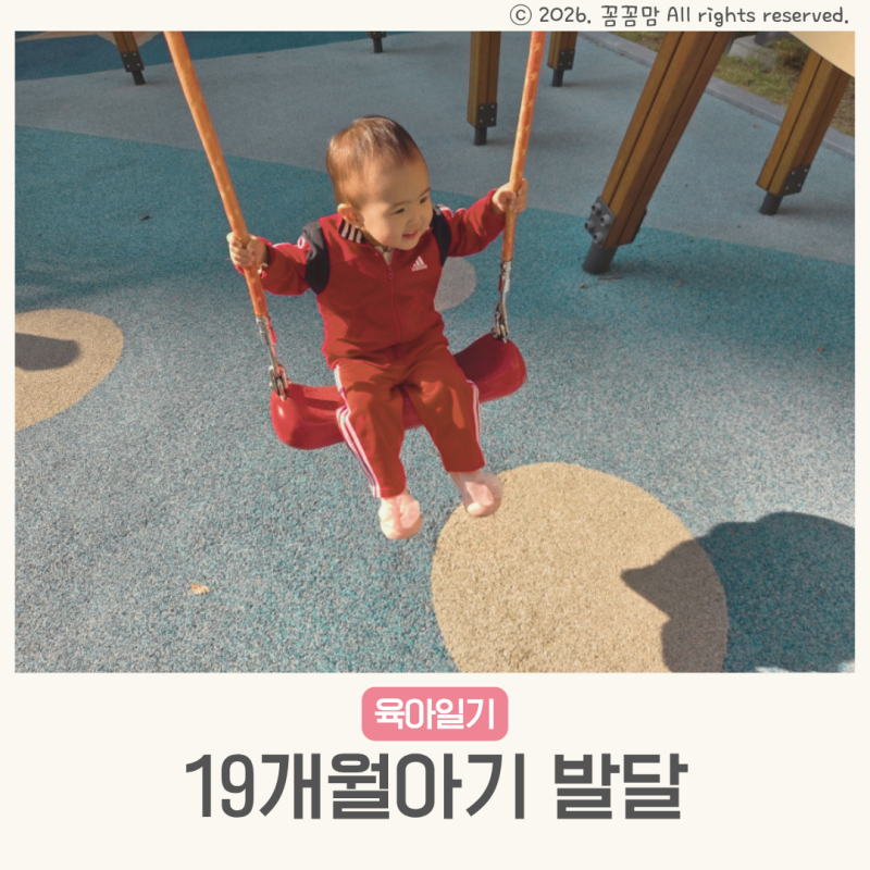 19개월아기 발달 언어 키 수면시간 훈육