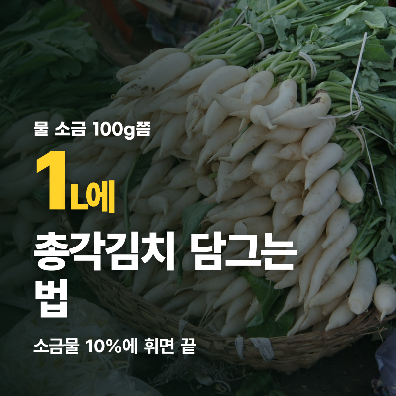 총각김치 담그는 법, 소금물 10%에 휘면 끝