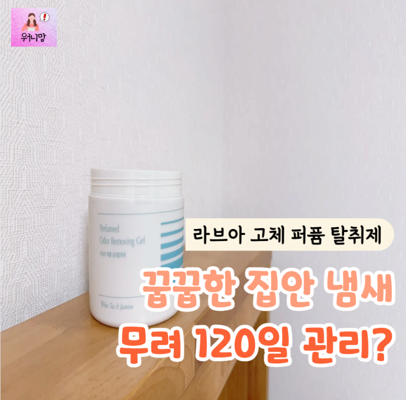 라브아 퍼퓸 탈취제 "쏟을 걱정 없이 4개월" 꿉꿉한 집안 냄새까지 잡다니 놀랍네요