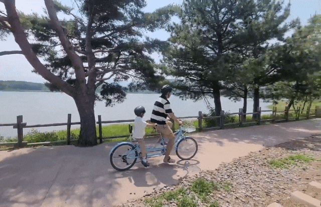 [강원] 강원도 고성 아이와 가볼 만한 곳｜송지호 관망타워 자전거 대여 & 송지호 바다하늘길