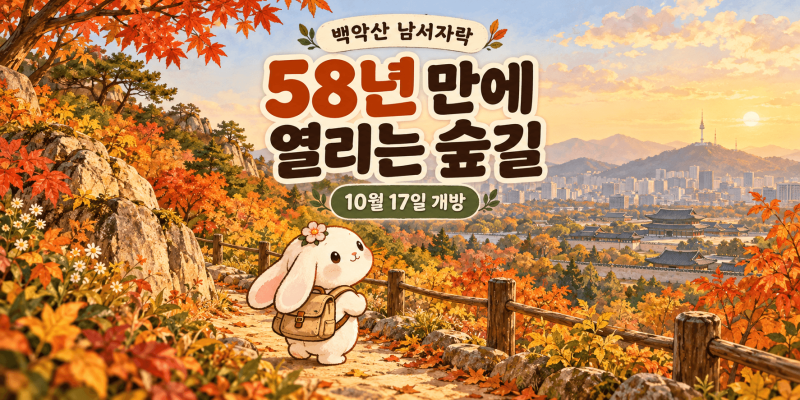 백악산 58년 만에 완전 개방… 이번 주말 열리는 마지막 숲길은?