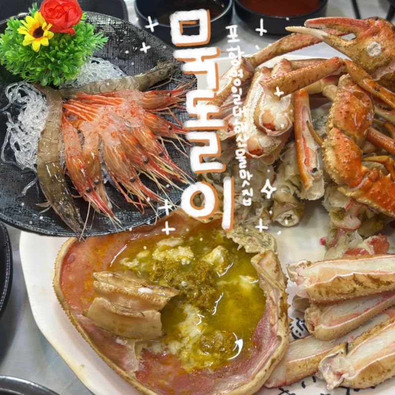 [맛집] 포항 영일대 해산물 맛집 묵돌이 | 포항 오션뷰 대게 독도 새우 횟집 추천