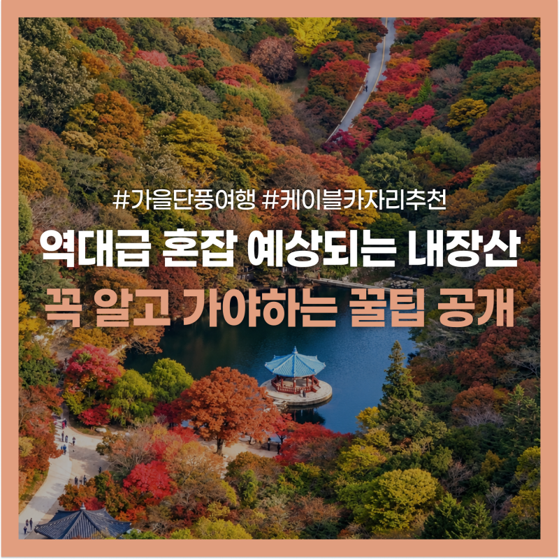 2026 내장산 단풍 시기 정읍시 공식 발표 됐다, 내장산 케이블카 탑승 요금과 꿀팁