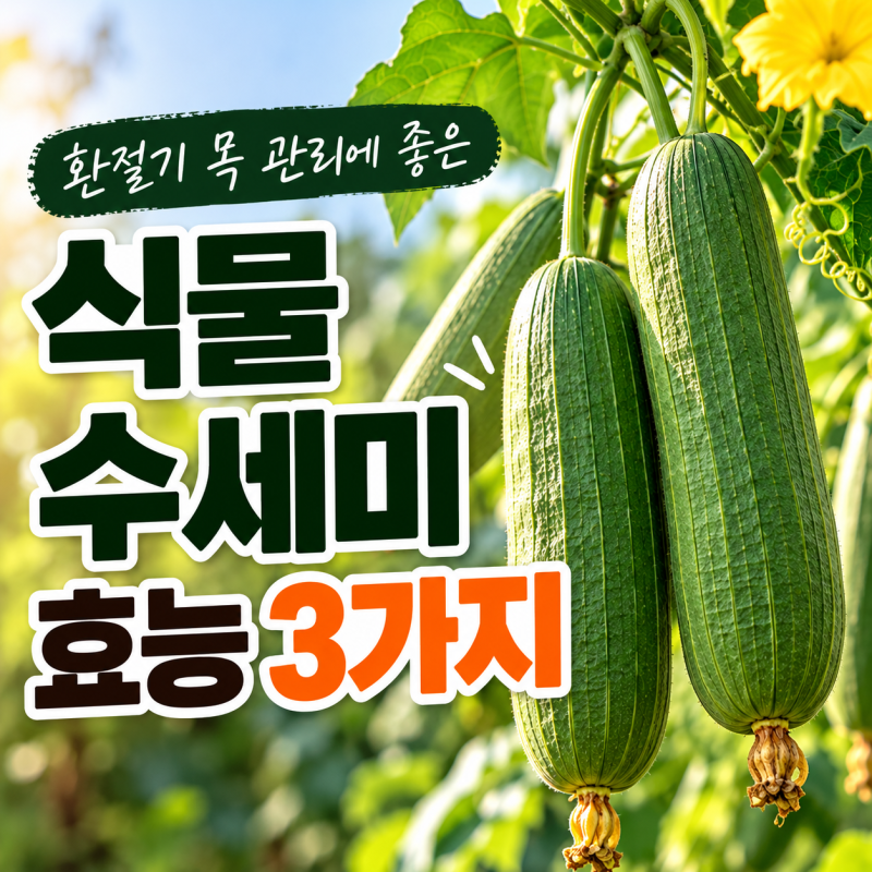 환절기 식물 수세미 효능, 아이도 좋아하는 수세미즙 고르는 법