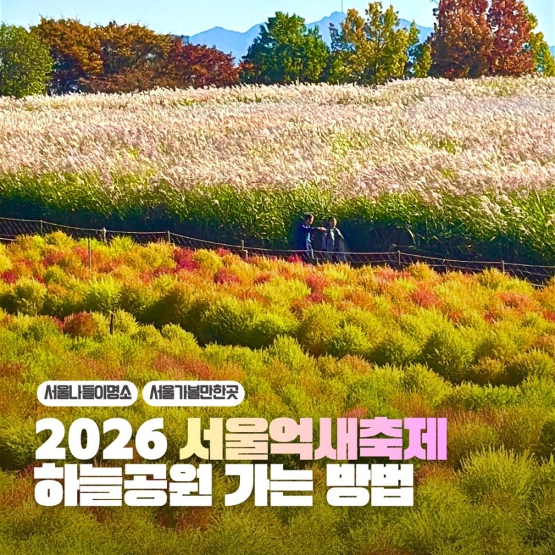 2026 서울억새축제 하늘공원 가는 방법 서울 주말 나들이 사진 명소 꿀팁