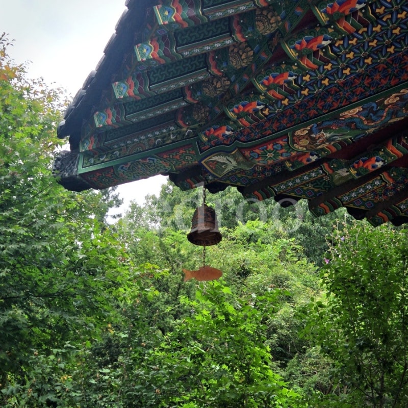 간만의 꿈 이야기