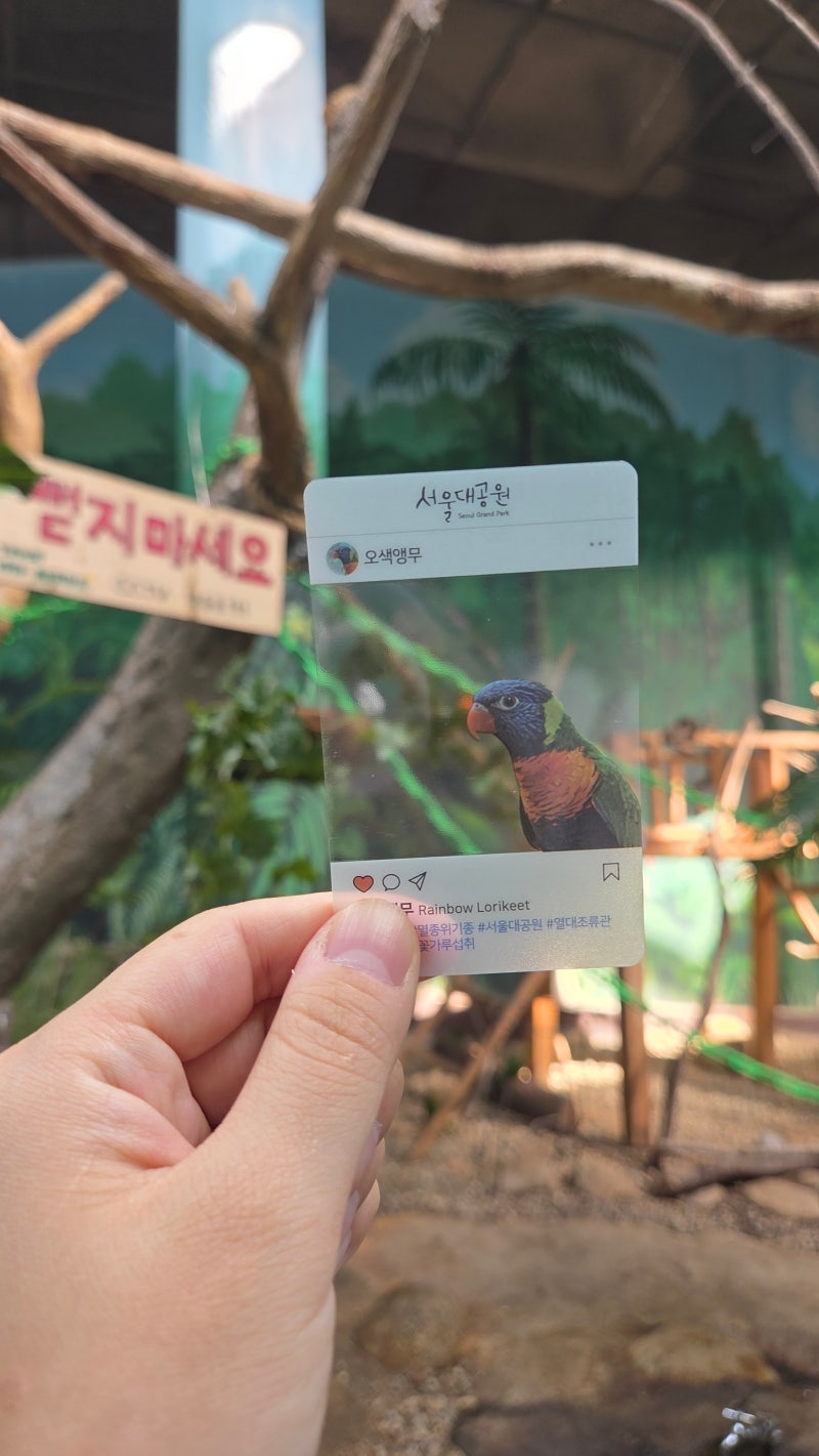 아이랑 가을 나들이 추천 서울대공원 동물원 주차부터 피크닉까지