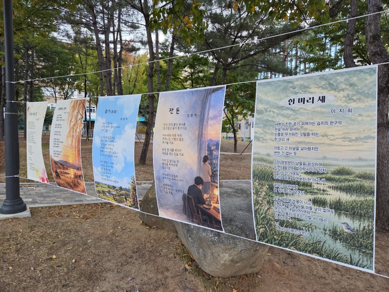 그림이 문장이 되는 밤