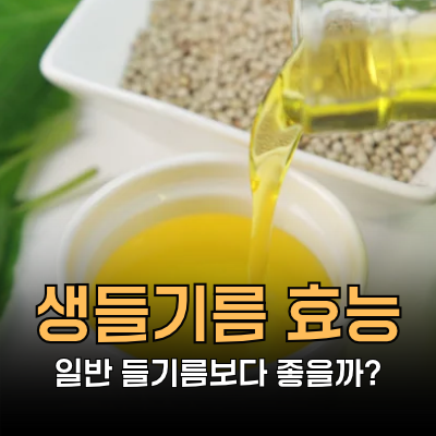 생들기름 효능, 볶음 들기름보다 무조건 좋을까? 부작용, 먹는법, 보관법