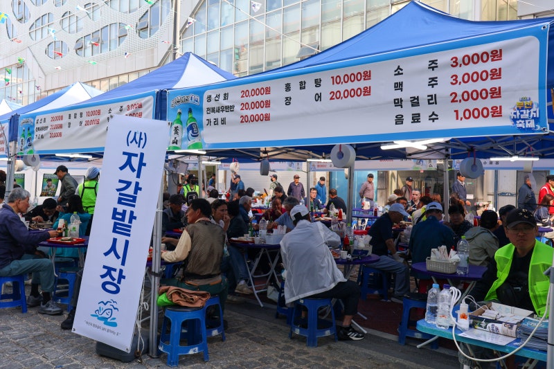 제33회 부산자갈치축제 2026 볼거리와 축제분위기 직접 다녀온 후기