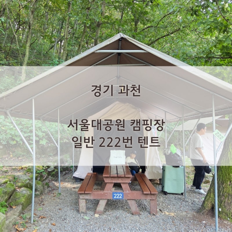 서울대공원 캠핑장 소나무 2야영장 일반형 222번 텐트. 침낭 + 전기장판 필수인 10월 캠핑 이....
