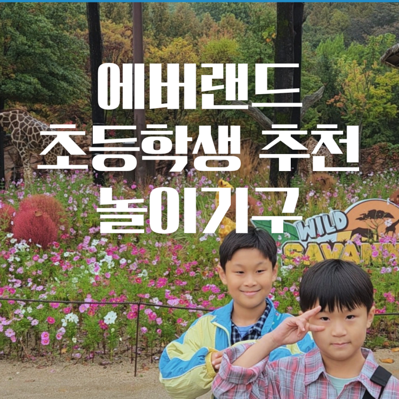 에버랜드 초등 저학생 추천 놀이기구 총정리 평일 에버랜드 꿀팁