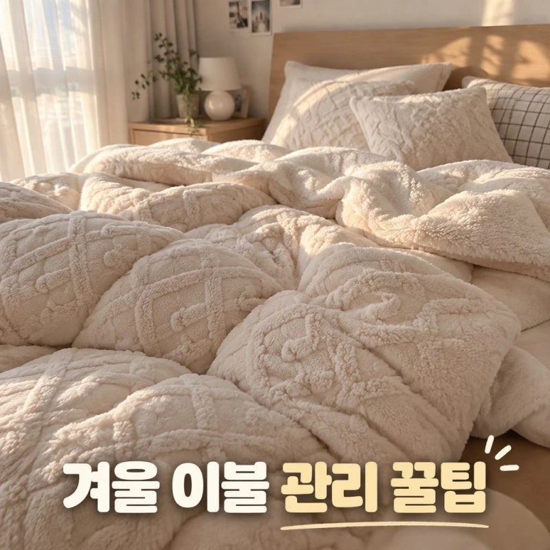 겨울 이불 꺼내기 전 냄새와 먼지 제거법