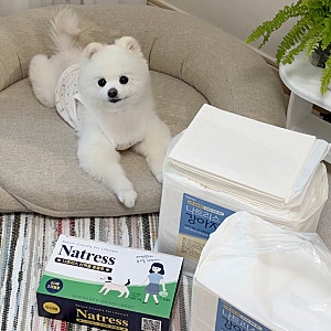 나트리스 흡수력 좋은 배변패드, 산책 필수템 배변봉투 추천