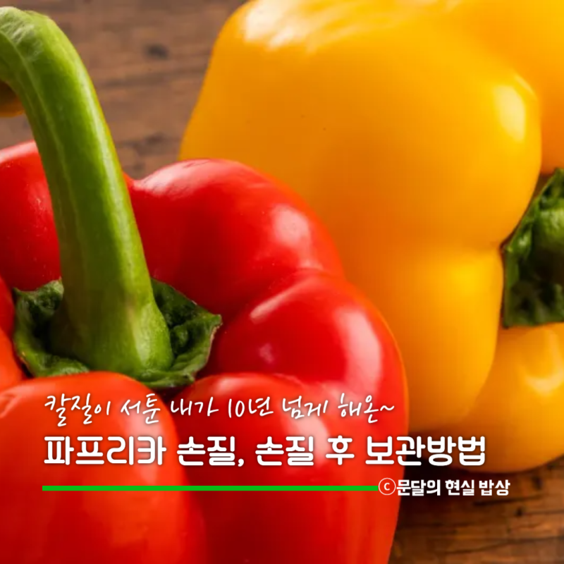 10년 넘게 해본 파프리카 손질 후 보관법 미니 파프리카 손질은 더 간단해요