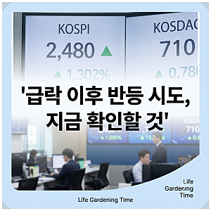 코스피·코스닥 급락 이후 반등 시도, 지금 투자자가 확인할 것