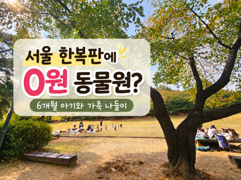 서울 아기랑 갈만한 곳, 어린이대공원 무료 동물원 6개월 아기 후기