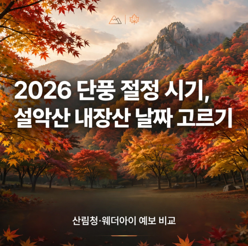 2026 단풍 절정 시기, 설악산 내장산 날짜 고르기