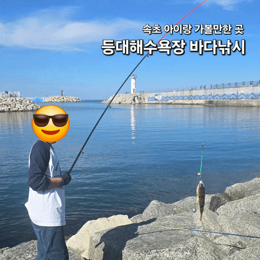 속초 아이랑 가볼만한 곳 등대해수욕장 바다낚시, 고등어 대신 놀래미 그리고 복어와 게싸움