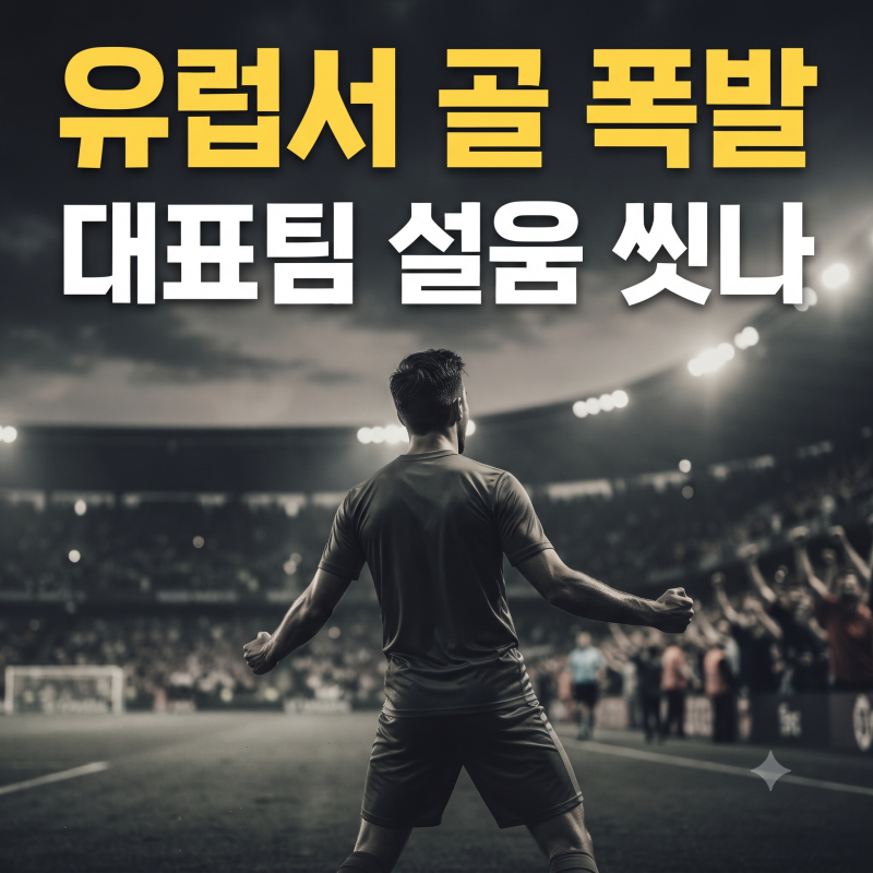 국가대표팀에선 아쉬웠는데...소속팀 복귀하자마자 유럽서 터진 오현규 조규성 진짜 이유
