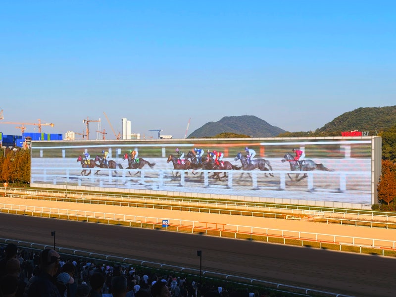 이색 데이트! 과천 렛츠런파크 경마장 & 포니랜드