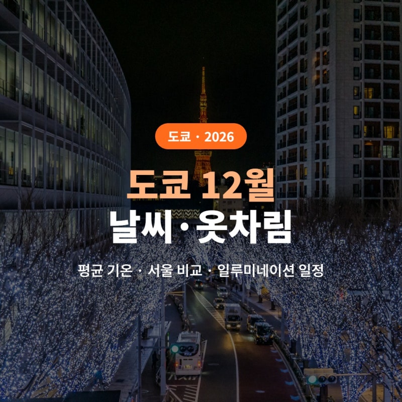 도쿄 12월 날씨·옷차림 2026 (평균 기온 4~12도·서울과 비교, 롯폰기·마루노우치 일루미네이션....